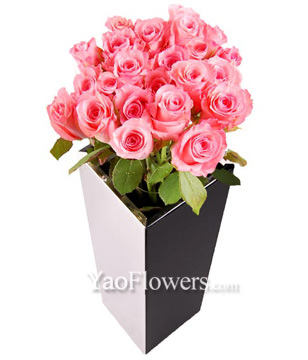 24 Pink Roses In Vase 